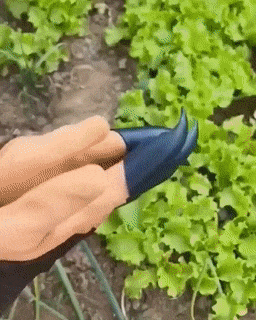 kaufsy | Garten Pflanzenhandschuhe