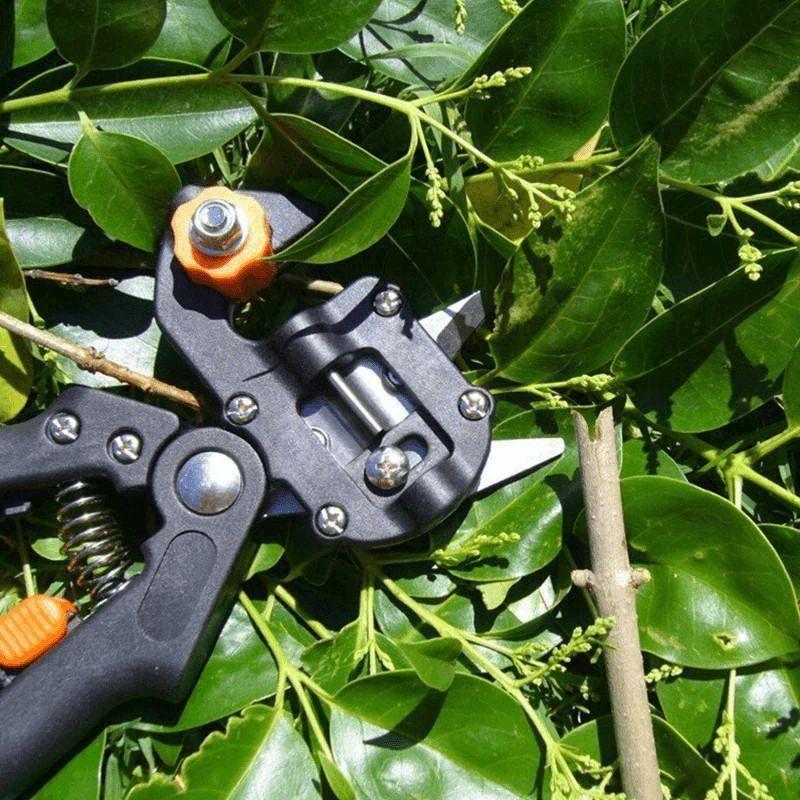 kaufsy | Professionelles Gartenveredlungswerkzeug-Set
