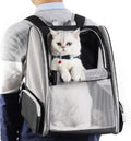 kaufsy | Rucksackträger Katze