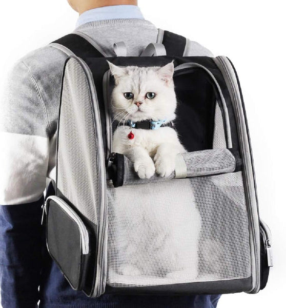 kaufsy | Rucksackträger Katze