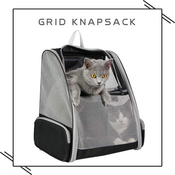 kaufsy | Rucksackträger Katze