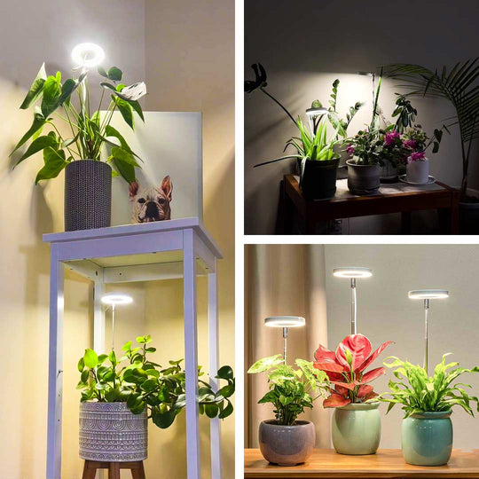 kaufsy - Pflanzenlicht für Zuhause